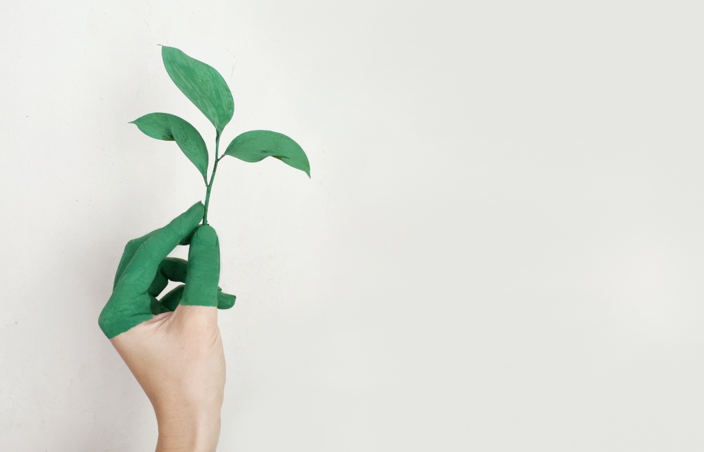 website design tips for growing businesses