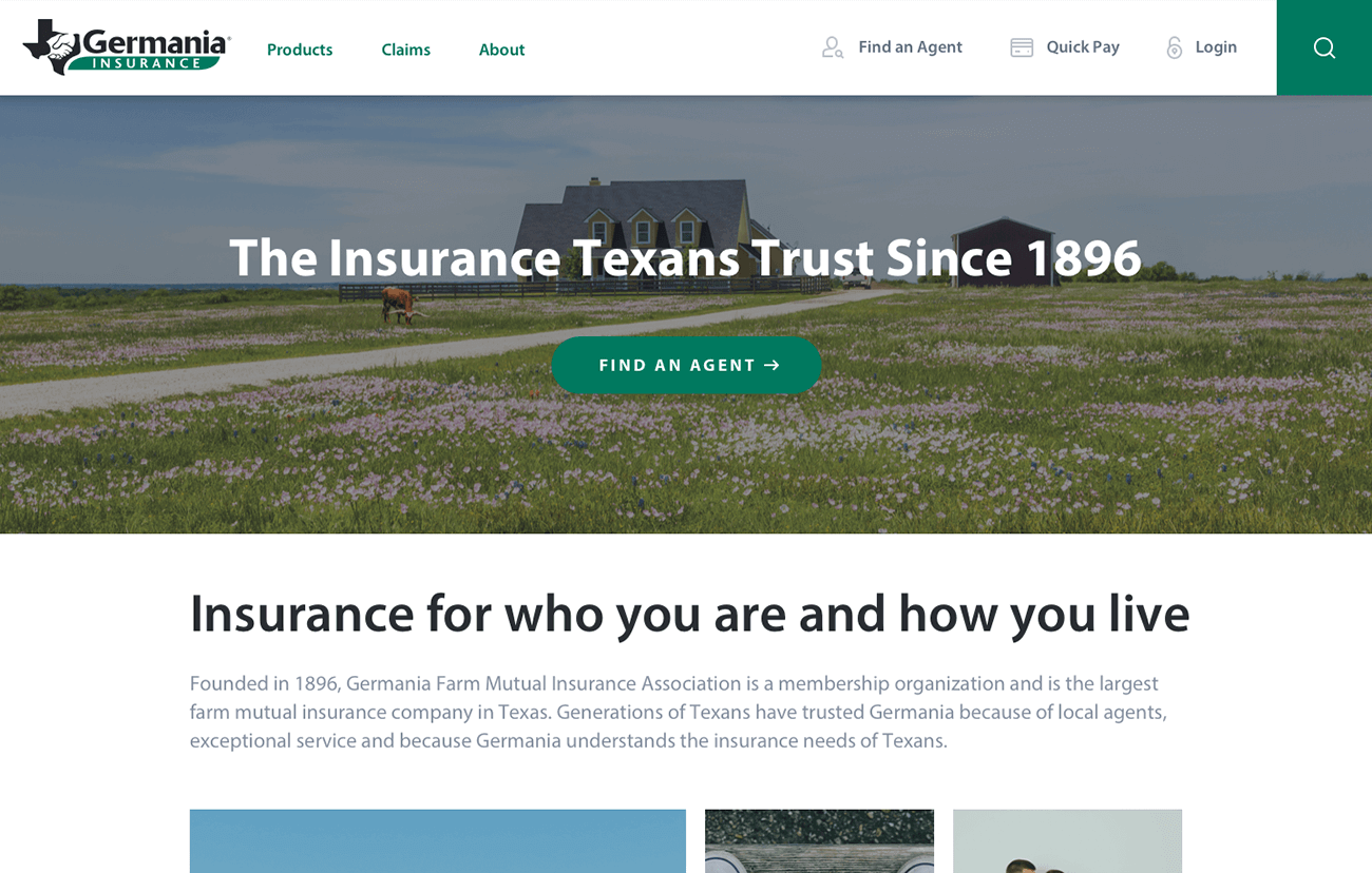 portfolio hero image