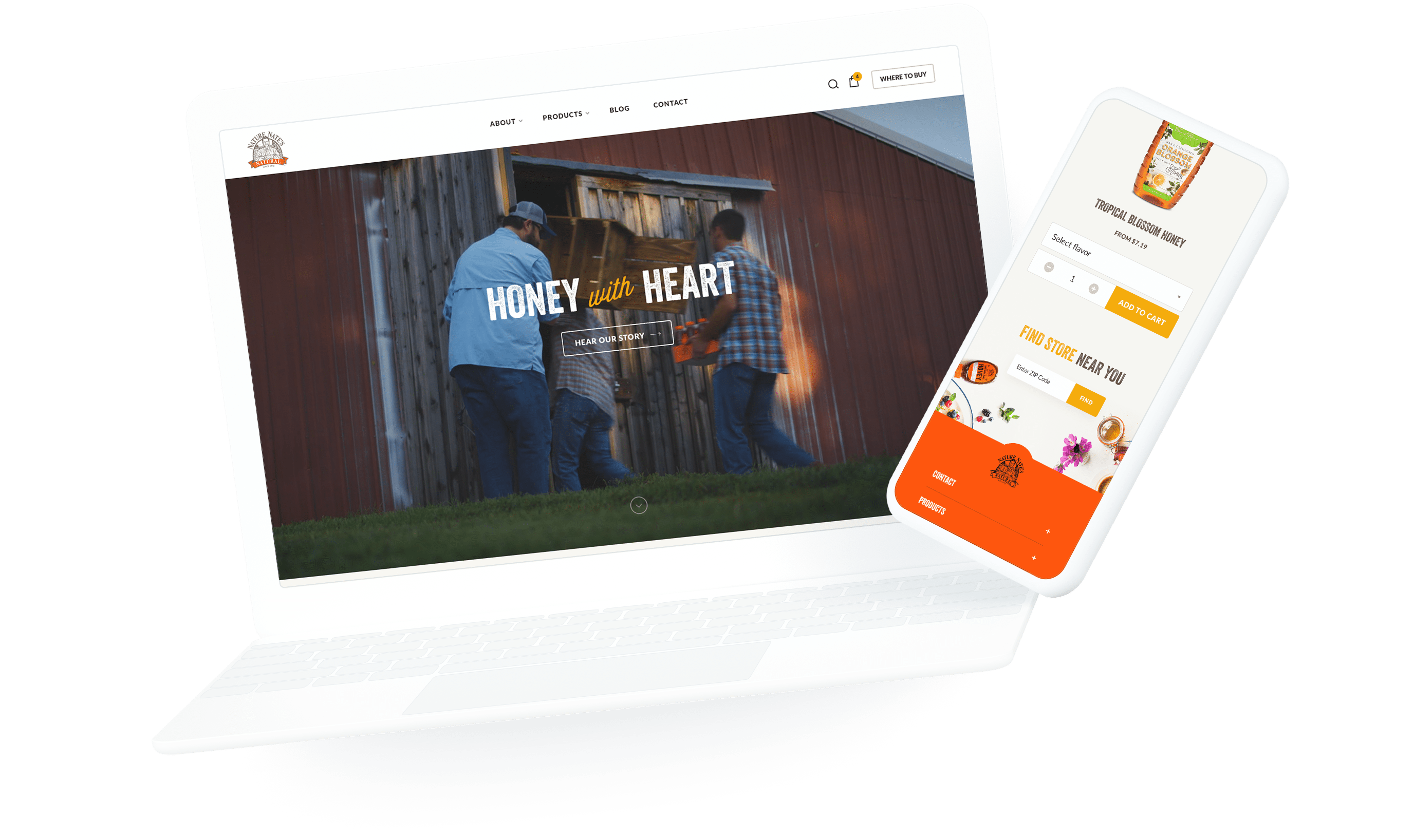 portfolio hero image